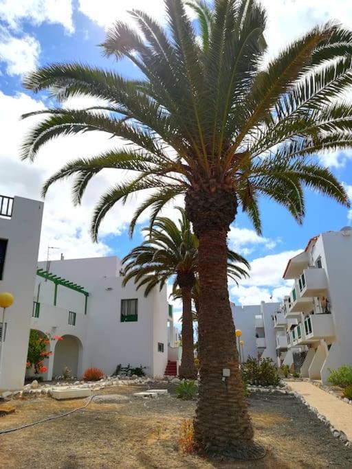 科斯塔德安提瓜Casa Azul公寓 外观 照片